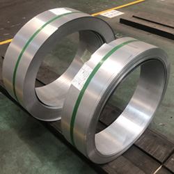 Alloy 926 Forged Circle & Rings Importer in Mumbai India